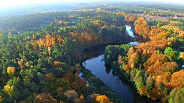 Stunning colorful forest and blue river in autumn, aerial view