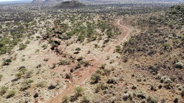 An African savanna land with grass, many green bushes, and trees over plains and hills.