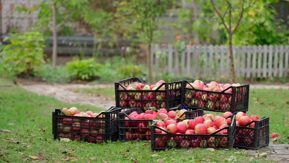 Stack of drawers with apples