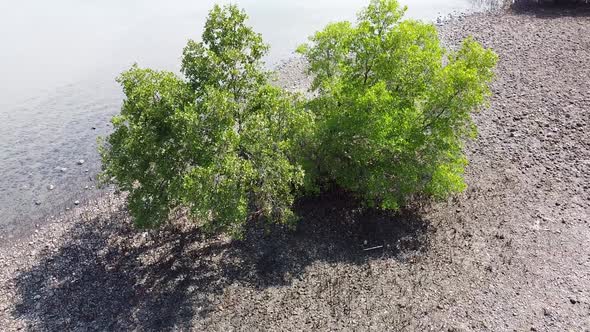 Flyover coastal mangrove ecosystem habitat on a remote tropical island located on the coral triangle