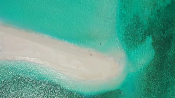 Aerial flying over tourism of relaxing resort beach trip by shallow water with bright sandy backgrou