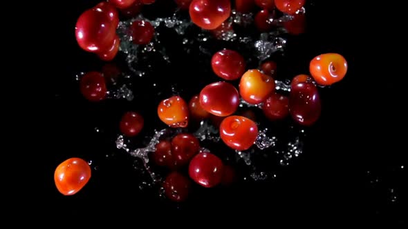 Cherry Bouncing Against to the Camera with Water