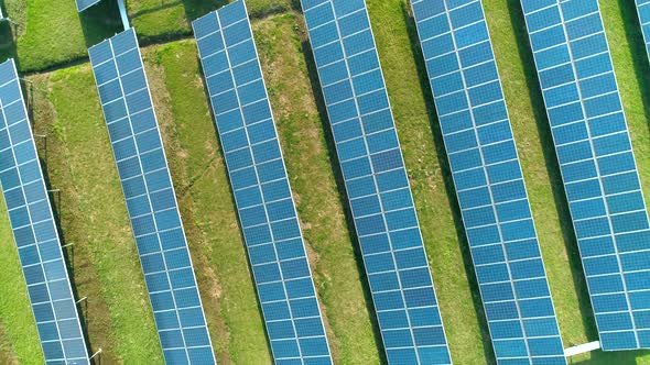 Aerial View of Solar Panels Farm (Solar Cell) with Sunlight