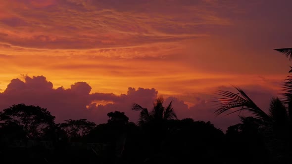 Sunset View Over the Rainforest Trees in Bali