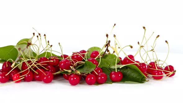 Red Cherry With Water Drops
