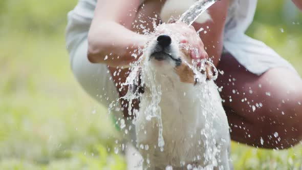 Woman Wash Dog in the Garden.