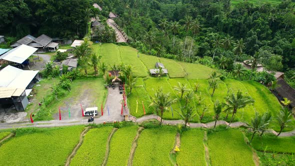 aerial top down of tourist attraction in ubud bali indonesia with beautiful rice fields