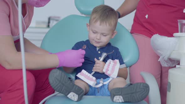 Adorable Little Boy in the Dentist Office Playing with the Jaw Mock. Carefree Child Visiting Doctor