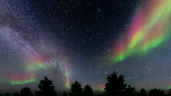 Stray Night Northern Lights of Spruce Winter Landscape