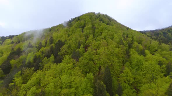 Drone flying over dense green cliffs adjacent to vast green valley.