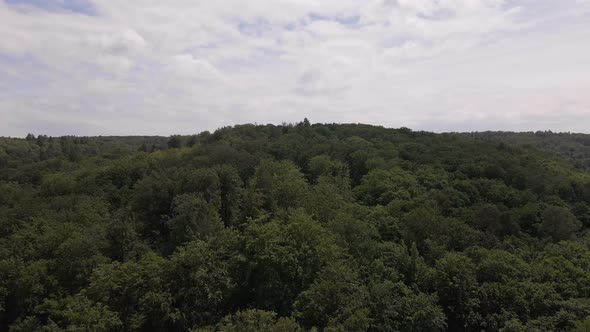 Wide angle booming shot of a dense deciduous forest underneath a cloudy sky during summer in Europe.