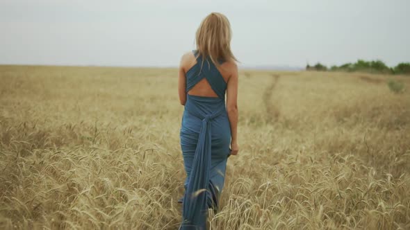 Back View of Young Woman with Blonde Hair in Long Blue Dress Walking Through Golden Wheat Field Then