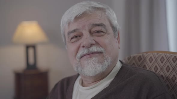 Close-up of Grey-haired Caucasian Man with Brown Eyes Smiling at Camera. Portrait of Happy Male