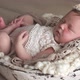 Little Newborn Baby - VideoHive Item for Sale