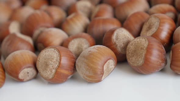 Slow pan over ripe hazelnuts on white background  4K 2160p 30fps UltraHD footage - Pile of Corylus a