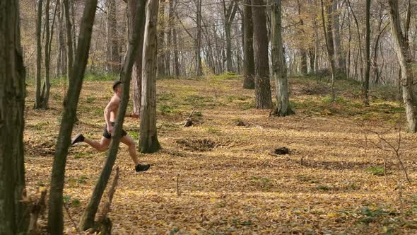 Athlete Jogging In The Forest