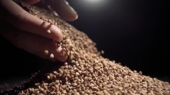 Female Hands Pours Buckwheat Grain. Slow Motion