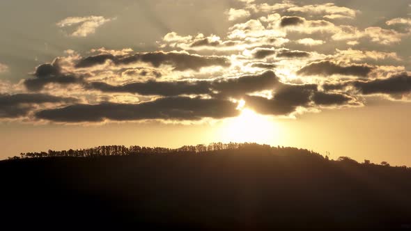 Sunset at rural life scenery. Rural landscape. Eucalyptus trees.