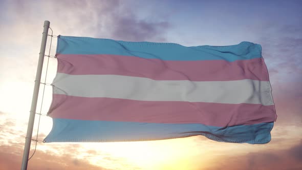 Transgender Pride Flag Waving in the Wind Sky and Sun Background
