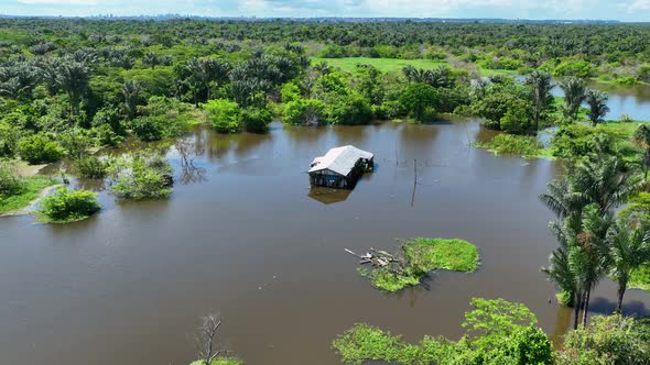 Stunning landscape of Amazon Forest at Amazonas State Brazil.