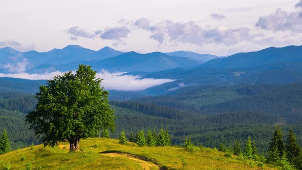 Misty Morning in the Mountains