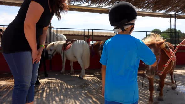 A Little Boy Caresses His Chestnut Pony and Waves His Hand