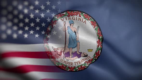 Virginia State Usa Mixed Flag Front HD