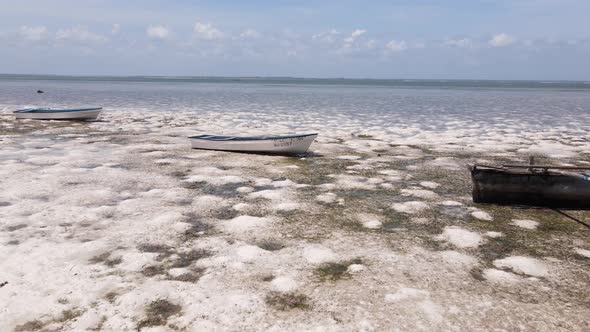 Shore of Zanzibar Island Tanzania at Low Tide