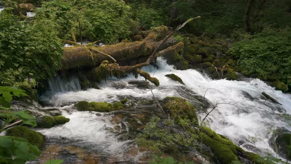 Waterfall with Mountain River in Montenegro.