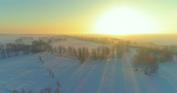 Aerial Drone View of Cold Winter Landscape with Arctic Field, Trees Covered with Frost Snow and