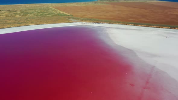 Beautiful top view of the salty, pink lake. Beautiful pink sunrise.