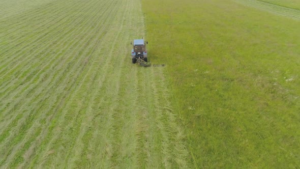 Tractor Mows the Grass