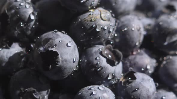 Close Up Blueberry with Water Drops Rotating Background. Lot of Ripe Blueberries Close Up. Organic