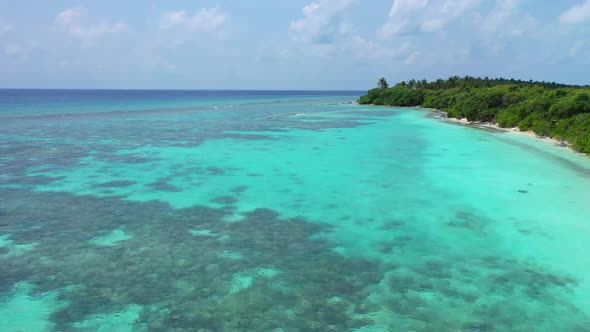 Aerial drone abstract of luxury coastline beach wildlife by aqua blue ocean and white sand backgroun