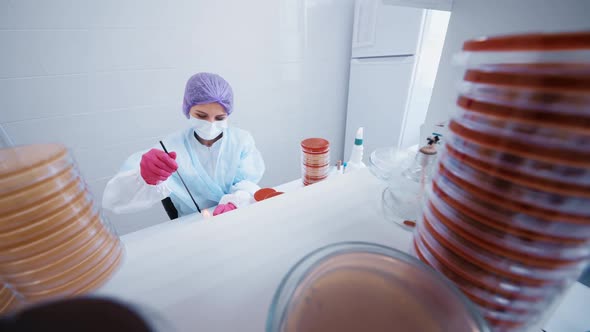 Group of Scientists Doing Analyzes and Tests in a Modern Bacteriological Laboratory Against the