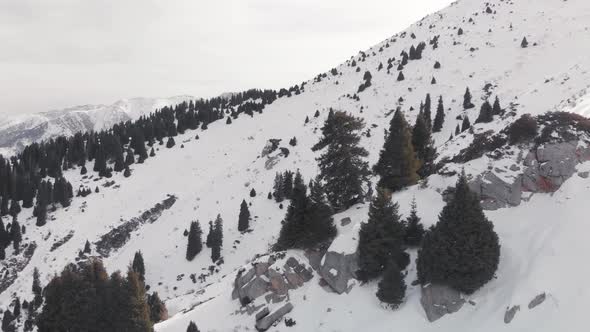 Aerial Landscape of Beautiful Winter Mountains