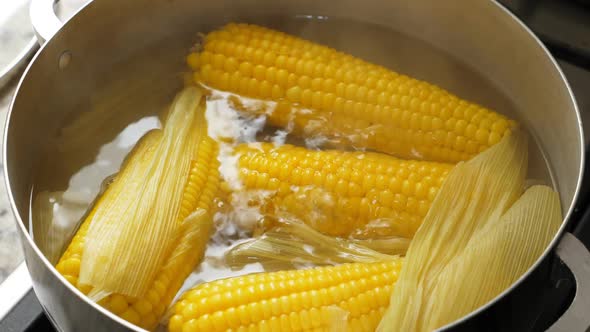 Boiling Corn at the Pan