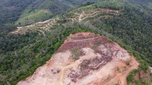 Aerial view land clearing activity at plantation