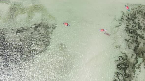 Vertical Video of the Ocean Near the Coast of Zanzibar Tanzania Aerial View