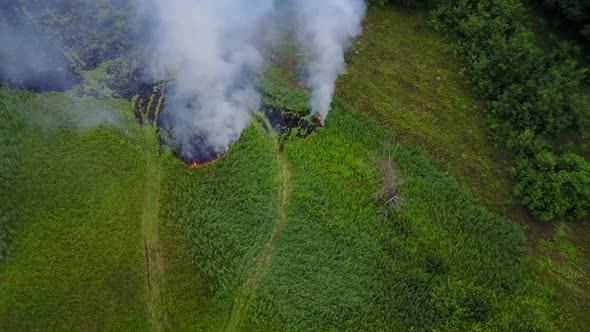 Flight Through a Smoke From Burning Green Field, Wild Fire in Nature Landscape, Aerial Footage From