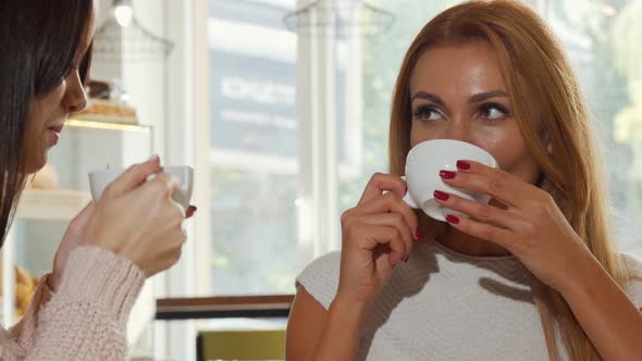 Gorgeous Woman Enjoying Delicious Coffee, While Chatting with Her Best Friend