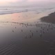 Sunset, Birds on the pacific ocean coast beach (La Serena, Chile) aerial view - VideoHive Item for Sale