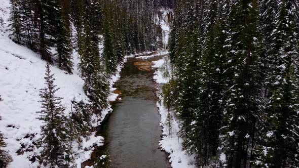 Creek in pine forest following snowing