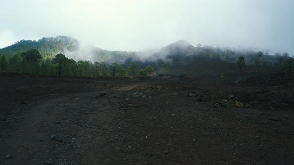 Dramatic Landscape on the Way to the Chineyro Volcano Through a Coniferous Forest on Lava in the