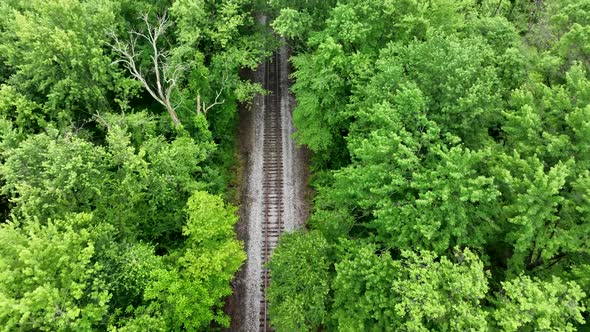 Aerial view of a railroad track running through the bright green forest in the spring.