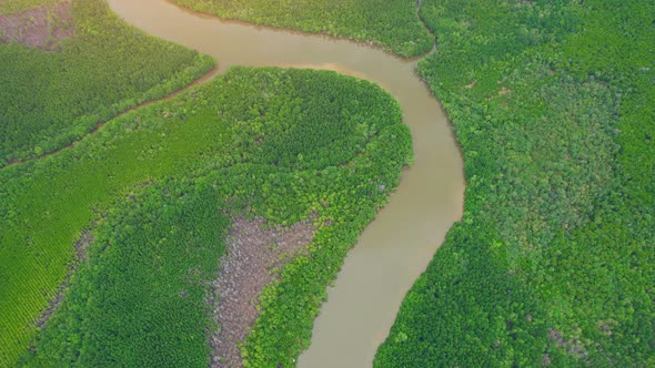 4K Aerial view of mangrove forest and beautiful river bends