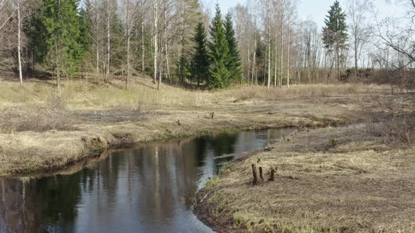 River in Spring