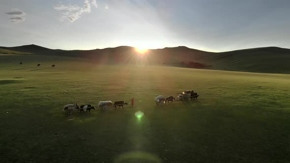 Central Asian Family People Walking Immigrating With Traditional Old Oxcart Tumbrel And Tumbril Cart