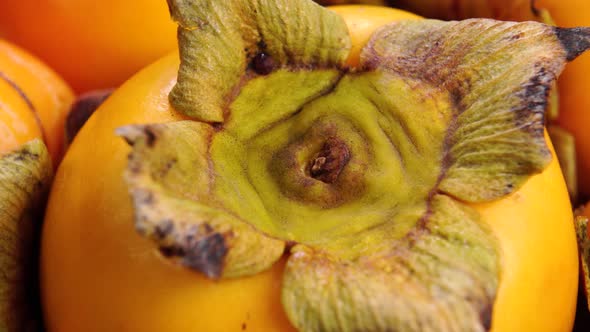 Dry leaves of ripe persimmon fruit. Macro