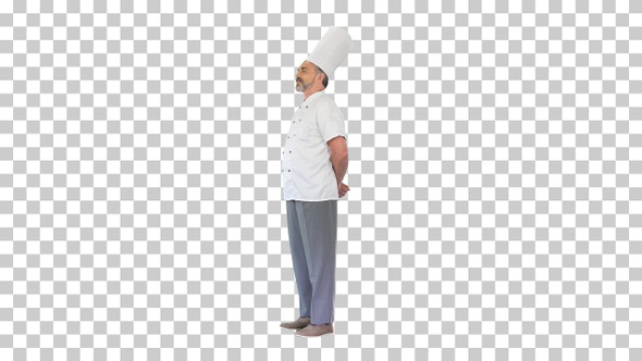 Confident caucasian chef standing doing nothing, Alpha Channel